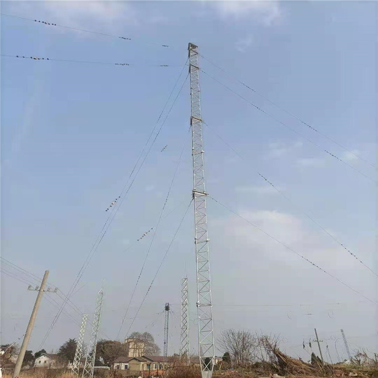 長(zhǎng)春市避雷塔生產(chǎn)廠家