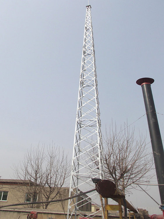 內蒙古24米gh避雷