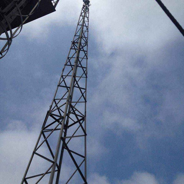 上林避雷針?biāo)S家