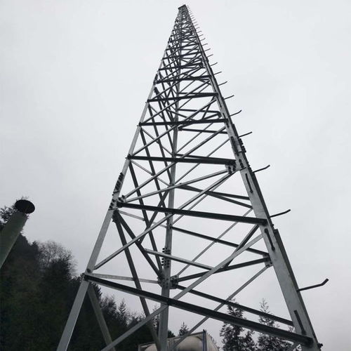 電站避雷塔廠家定制