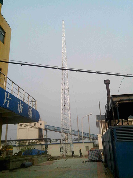 山西20米避雷塔生產