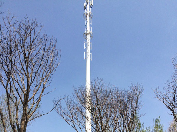 25米移動(dòng)景觀信號(hào)塔