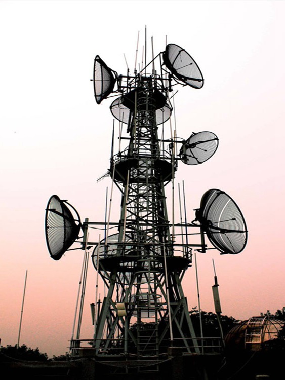 專業信號塔仿生樹