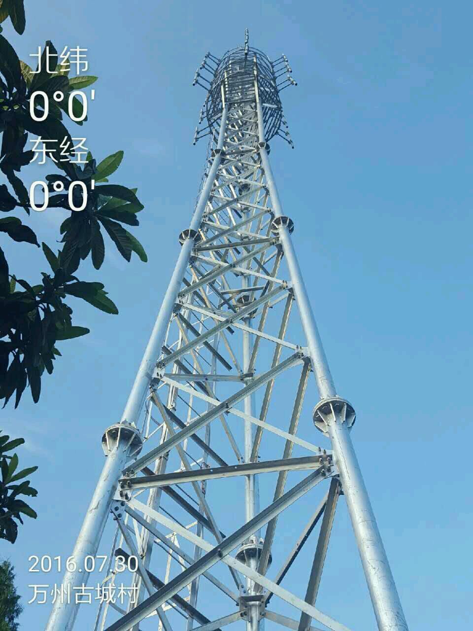 專業(yè)仿生樹通訊塔