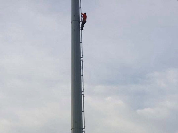 13米仿生樹通信塔