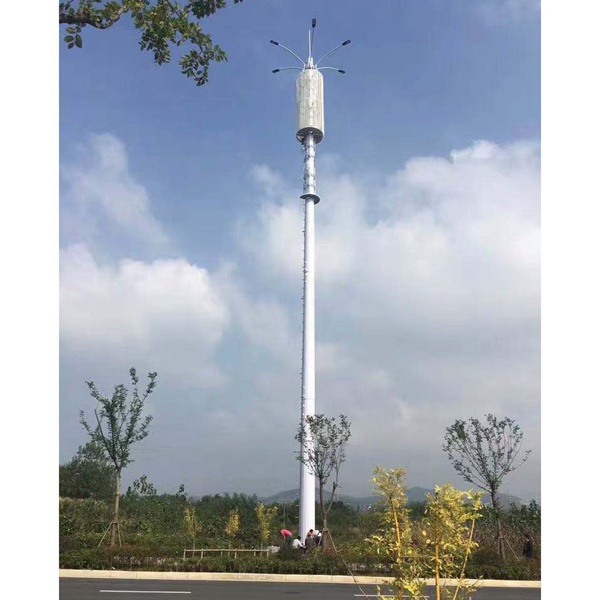 珠峰國際花園信號塔