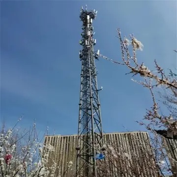 5G通信塔代建