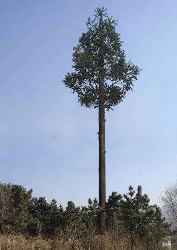 55米高角鋼信號塔重