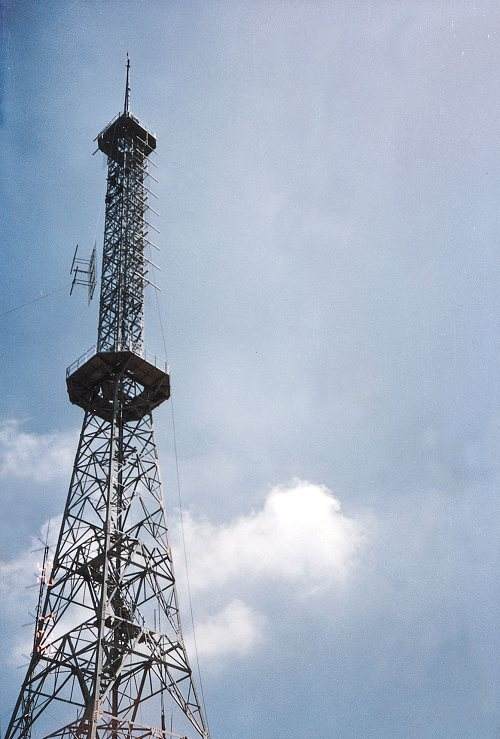 江蘇仿生樹通信塔工廠