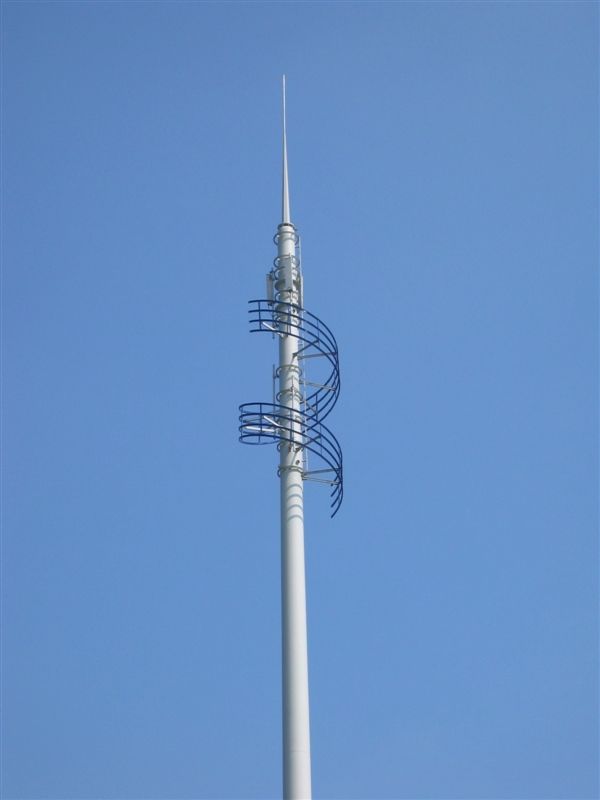 30米仿生樹通信塔