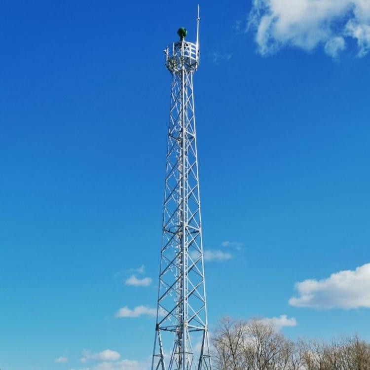 80米 草原監控塔